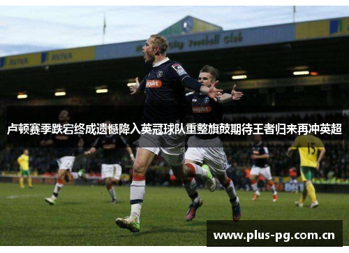 卢顿赛季跌宕终成遗憾降入英冠球队重整旗鼓期待王者归来再冲英超 卢顿赛季跌宕终成遗憾降入英冠球队重整旗鼓期待王者归来再冲英超